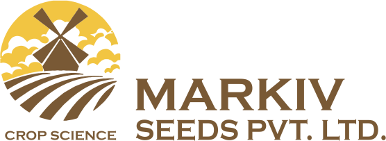 IMG-LOGO